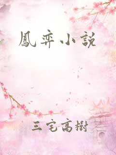 凤弈小说