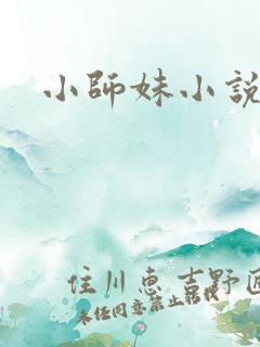 小师妹小说
