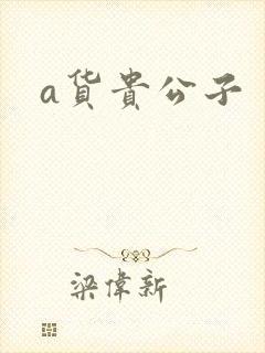 a货贵公子