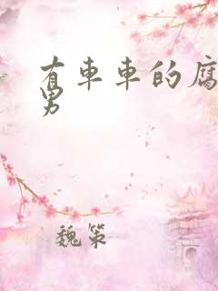 有车车的腐肉双男