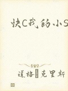 快C我的小SB