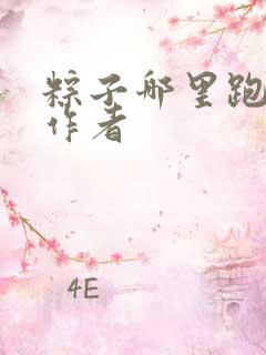 粽子哪里跑小说作者