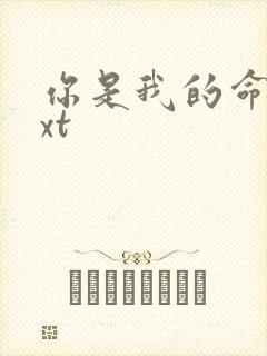 你是我的命运txt