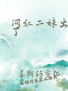 网红二妹出啥事了