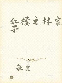 红楼之林家庶长子
