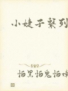 小婕子系列小说