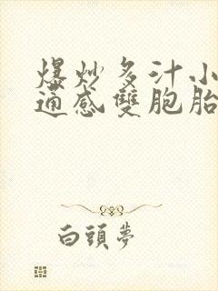 爆炒多汁小美人通感双胞胎