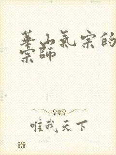 华山气宗的形意宗师