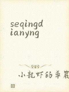 seqingdianyng