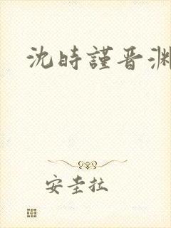 沈时谨晋渊小说