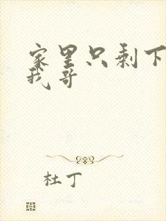 家里只剩下我和我哥