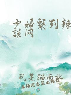 少妇系列辣文小说网
