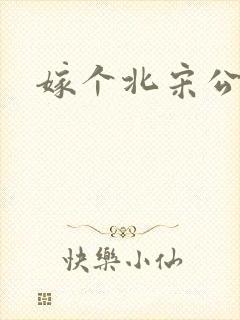 嫁个北宋公务员