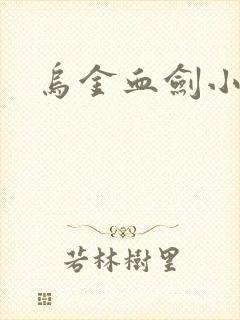 乌金血剑小说