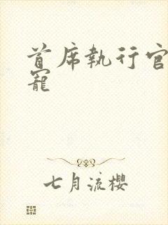 首席执行官的绝宠