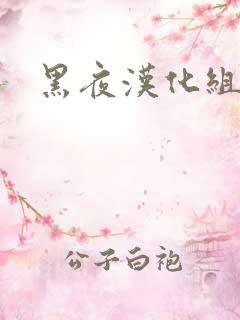 黑夜汉化组
