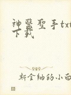 神医圣手txt下载