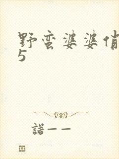 野蛮婆婆俏媳妇5