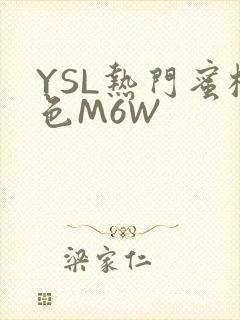YSL热门蜜桃色M6W