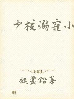 少校溺宠小小妻