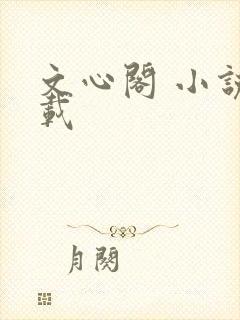 文心阁 小说连载