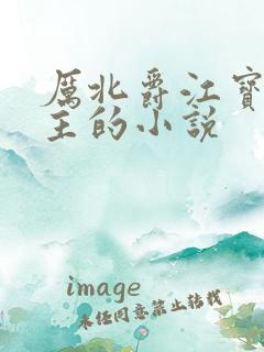 厉北爵江宝宝男主的小说