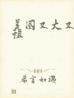 美国又大又长又租