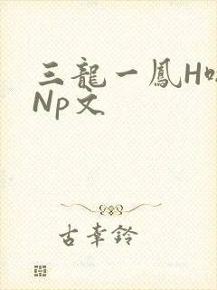 三龙一凤H啪肉Np文