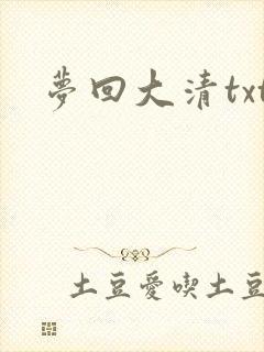 梦回大清txt