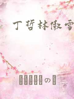 丁哲林傲雪小说