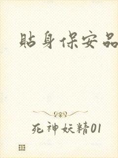 贴身保安品书网