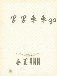 男男车车gay