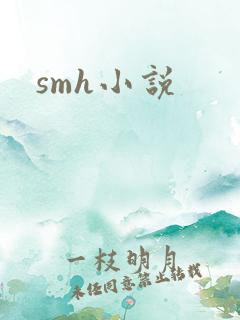 smh小说