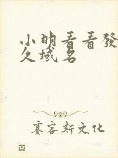 小明看看发布永久域名