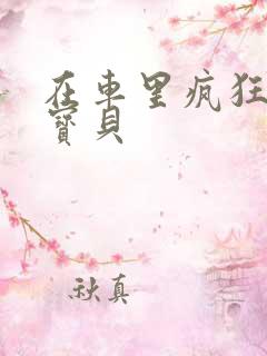 在车里疯狂挺进宝贝