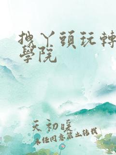 拽丫头玩转美男学院