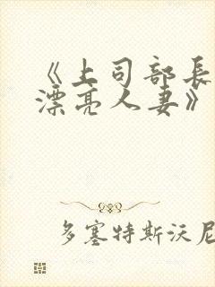 《上司部长出轨漂亮人妻》