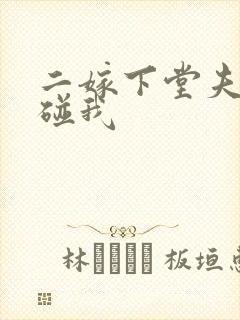 二嫁下堂夫君别碰我