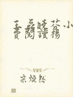 王磊晓芬小说免费阅读杨