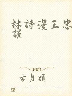 林诗漫王忠文小说