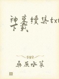 神墓续集txt下载