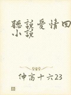 听说爱情回来过小说