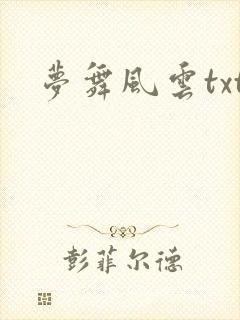 梦舞风云txt