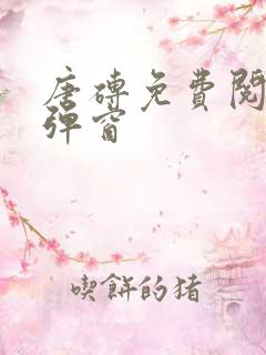 唐砖免费阅读无弹窗