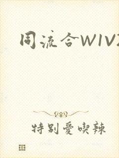 同流合W1V2