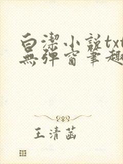 白洁小说txt无弹窗笔趣阁