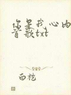 你是我心内的一首歌txt