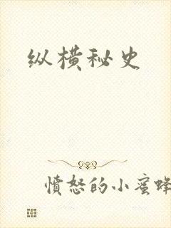 纵横秘史