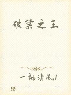 破禁之王