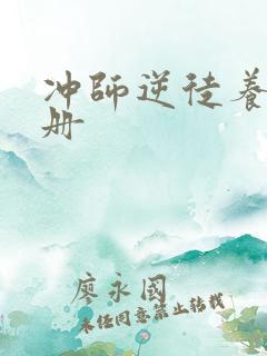 冲师逆徒养成手册